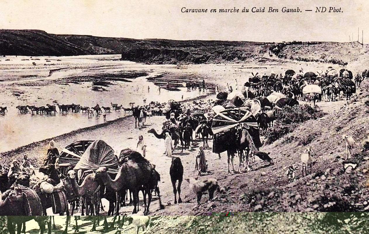 Caravane du Caid ben Ganah.jpg